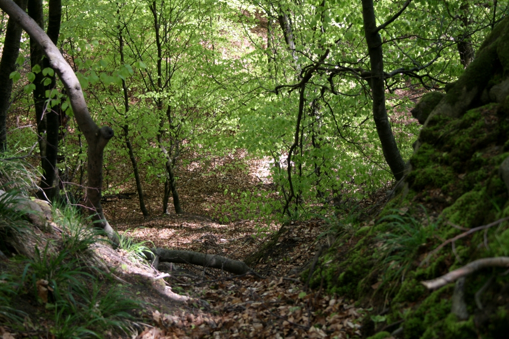 VWG vogelreis Oost Duitsland mei 2010 120